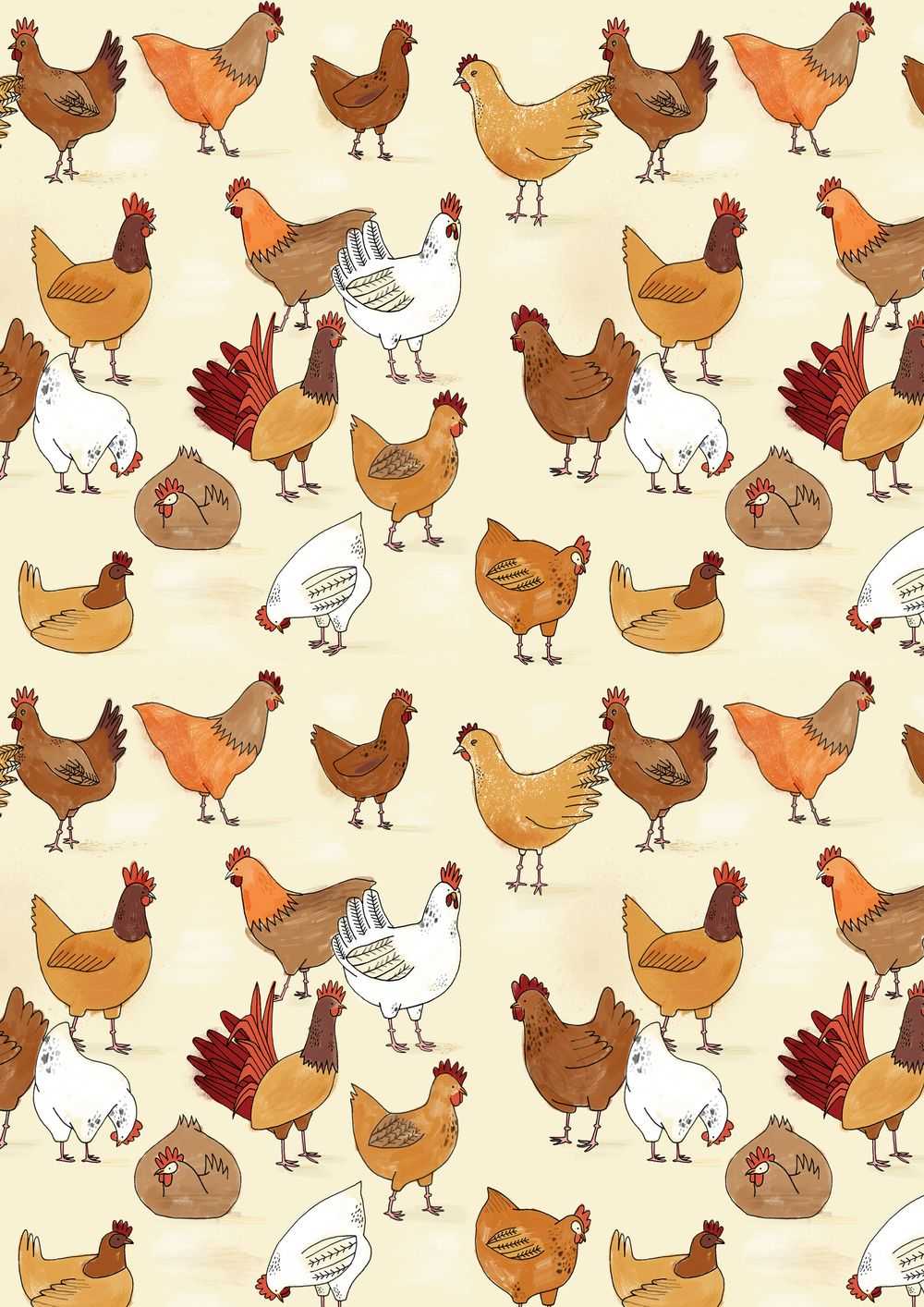 Chicken Wallpaper Enjpg
