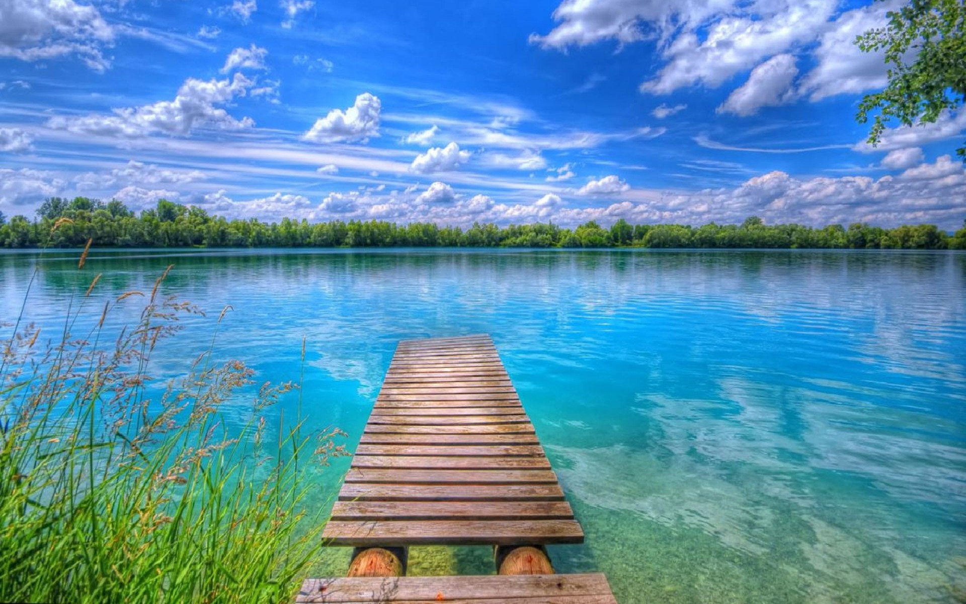 Beautiful Background Image Nature Wallpaper