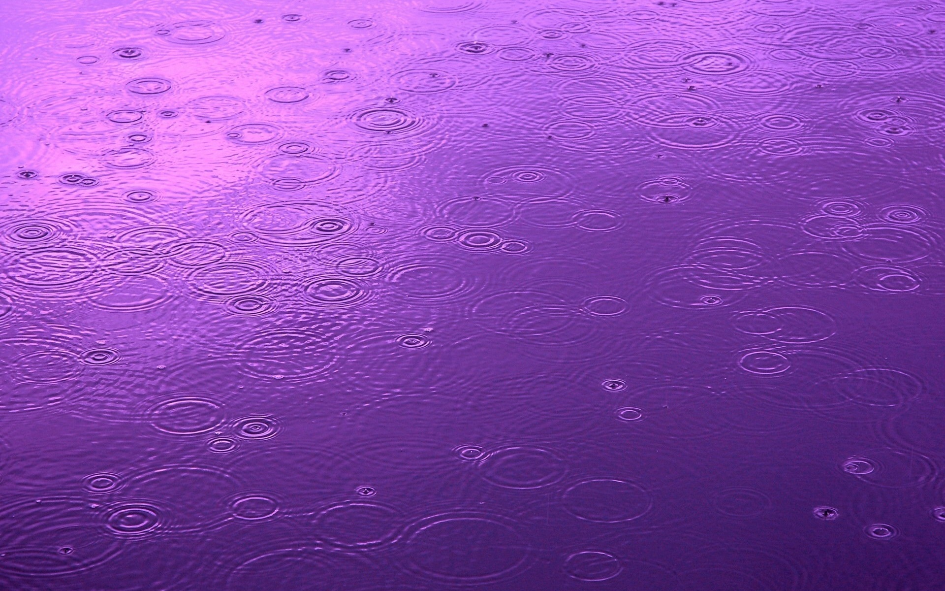 Raindrop Puter Wallpaper Desktop Background Id