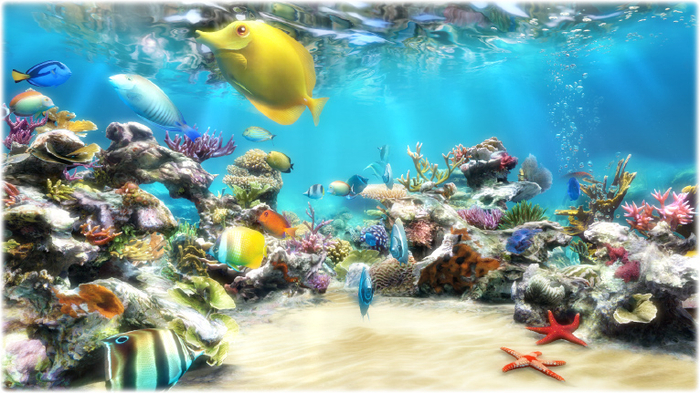 Clownfish Aquarium Live Wallpaper 700x393