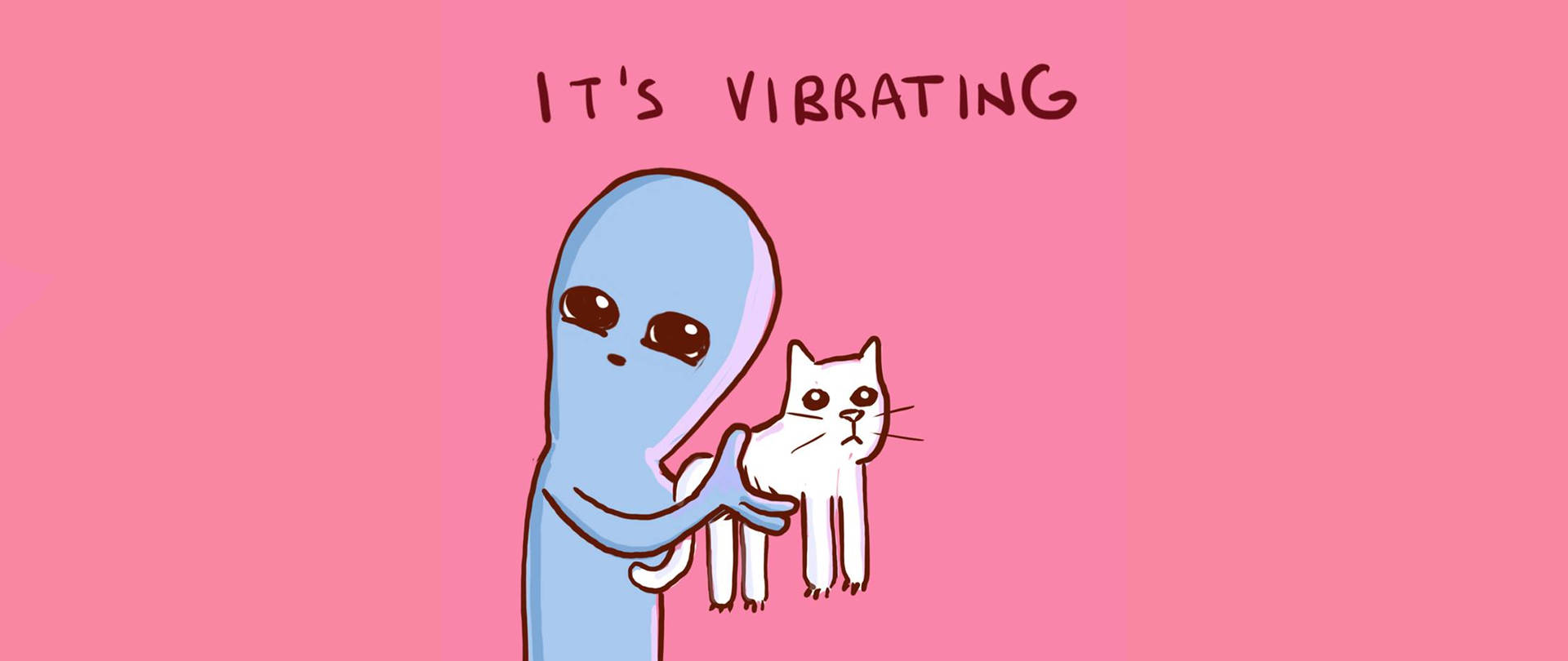 Cat Meme Wallpaper