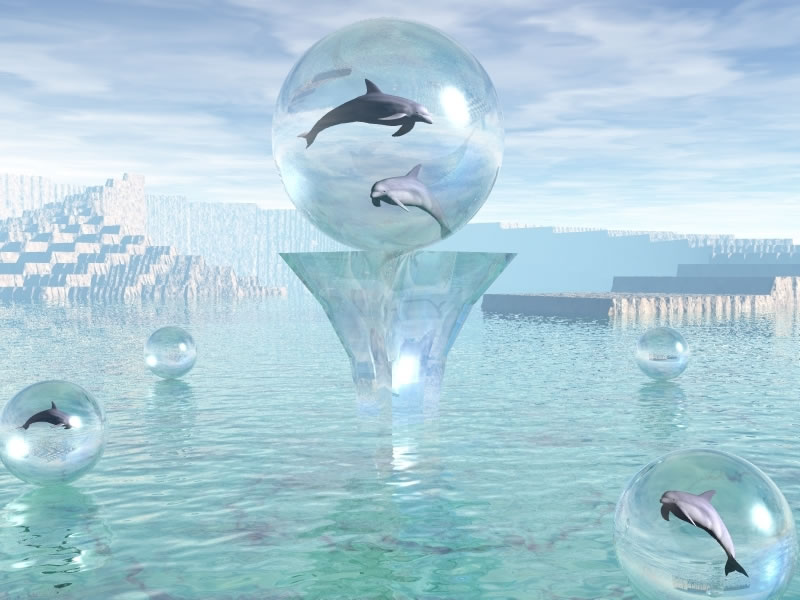 3d Dolphin Desktop Background