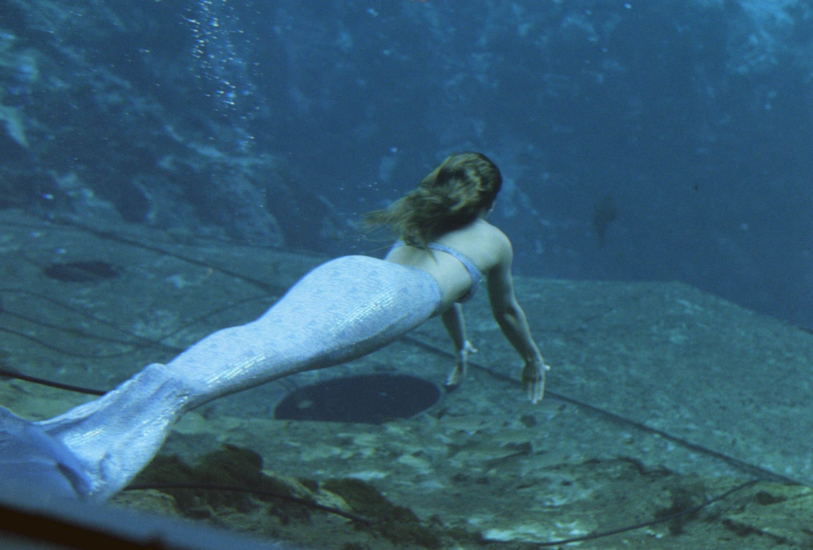 Rmation About Mermaids Or Even Videos Related To Mermaid