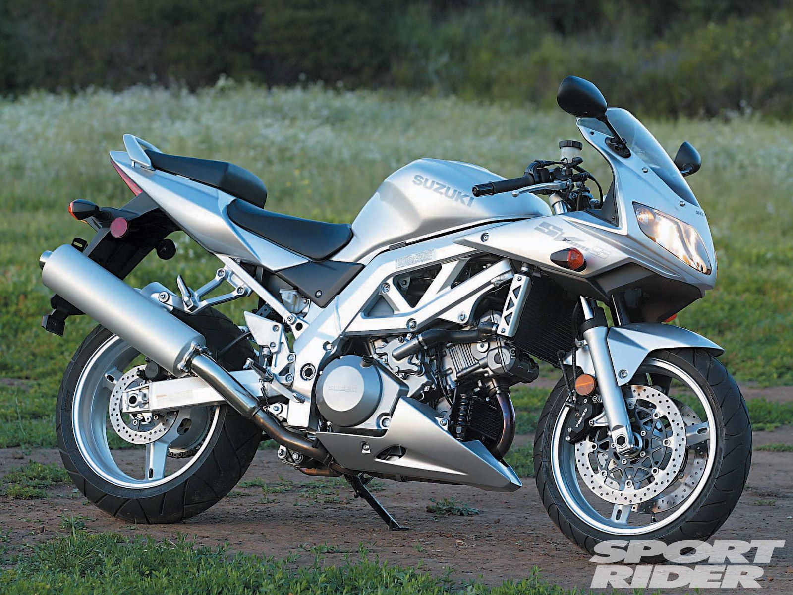 Sv1000s She Is A Real Beast The Torque Queen I Had This Gorgeous