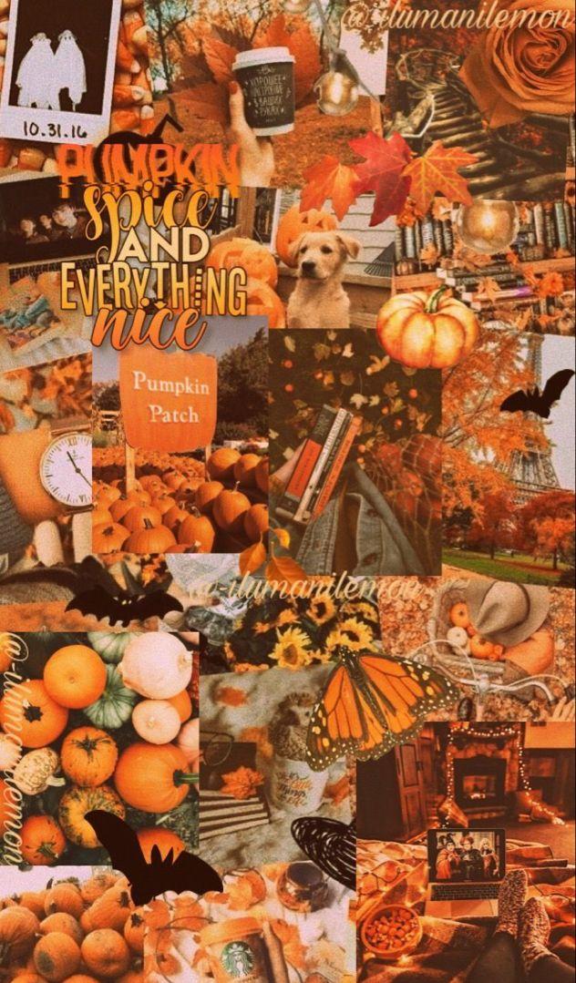 Beautiful Thanksgiving Wallpaper For Your iPhone