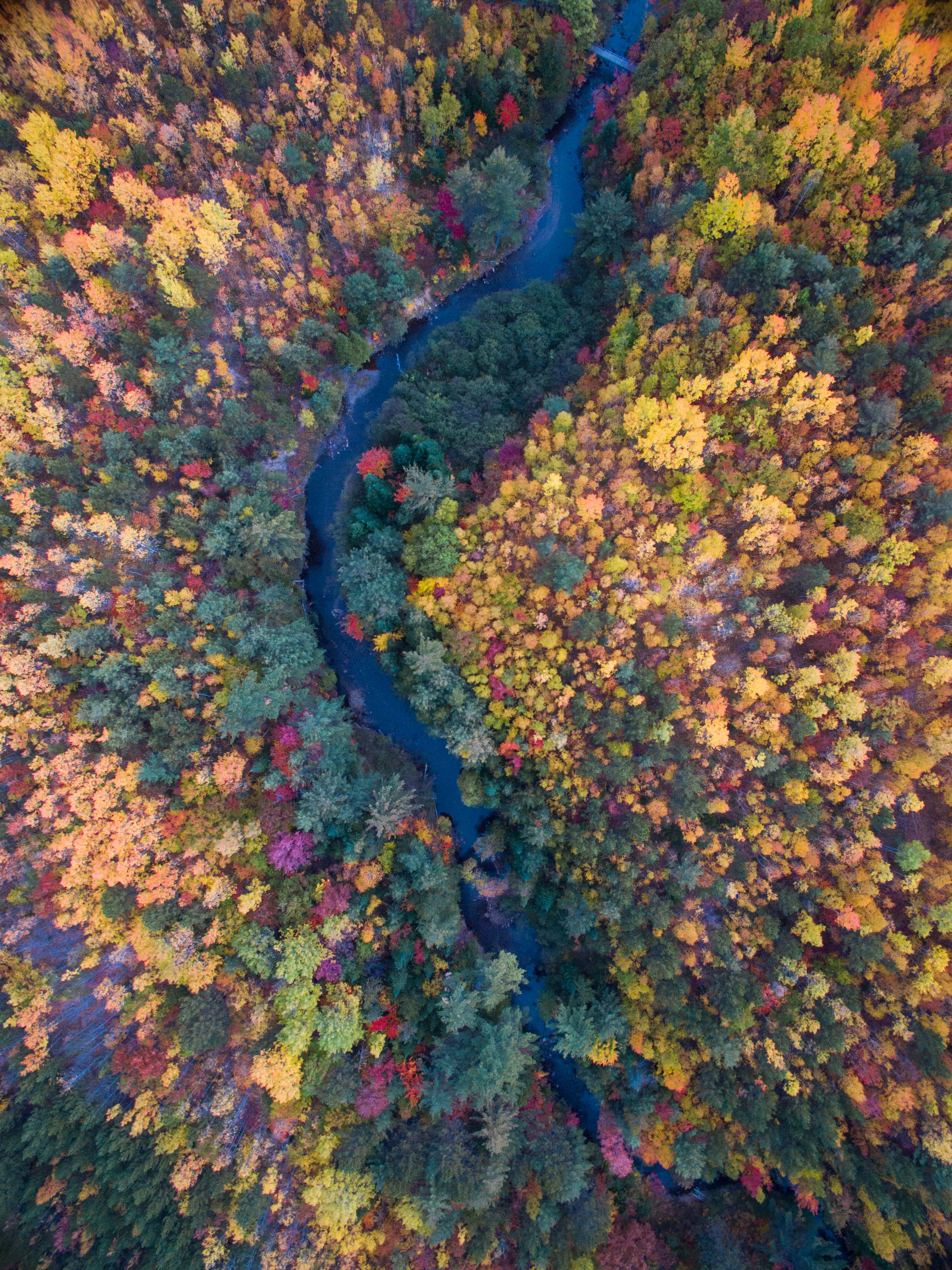 Fall Colors Line The Banks And Forest Surrounding KataHDin Stream