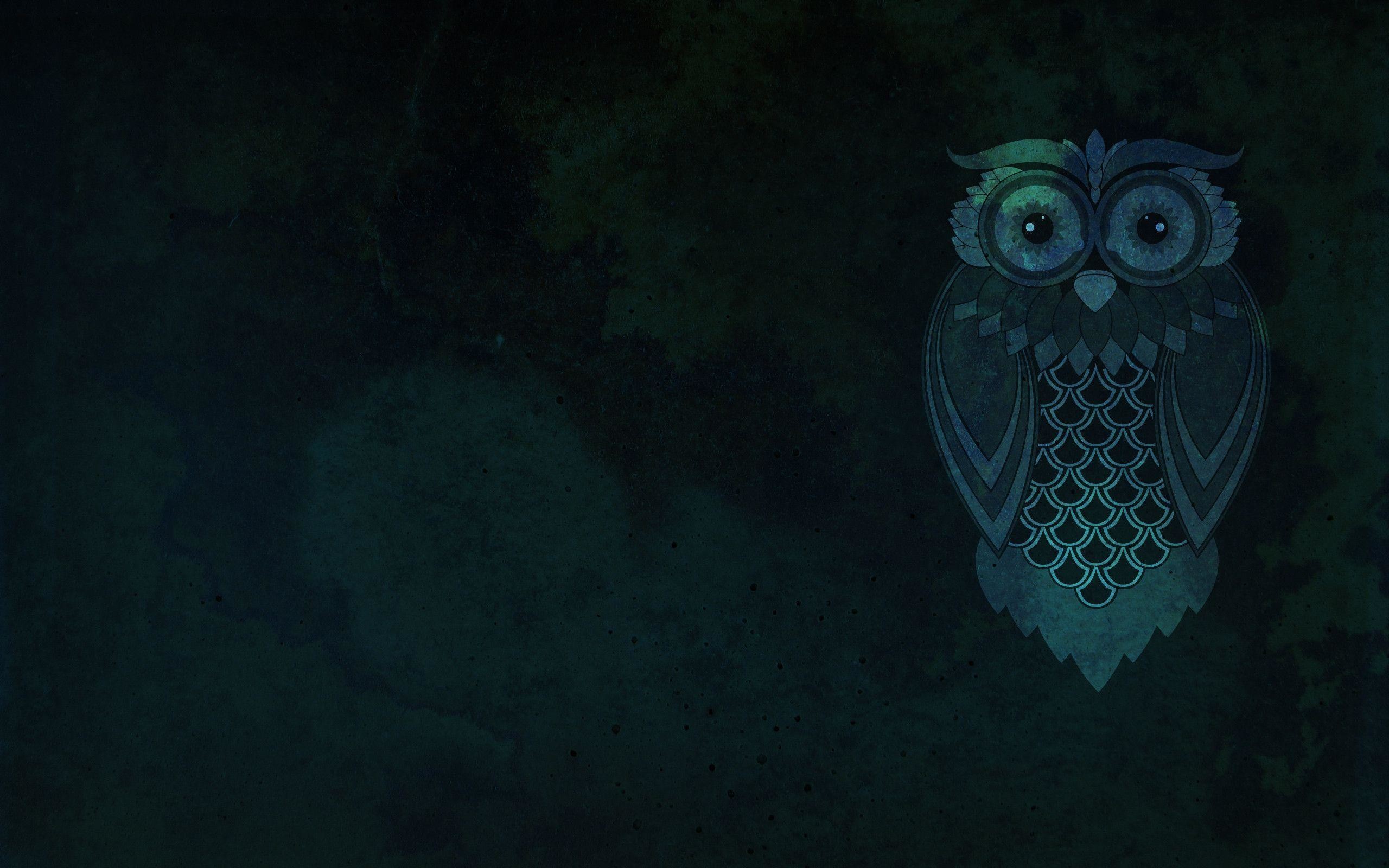 Owl Wallpaper for Computer 76 pictures