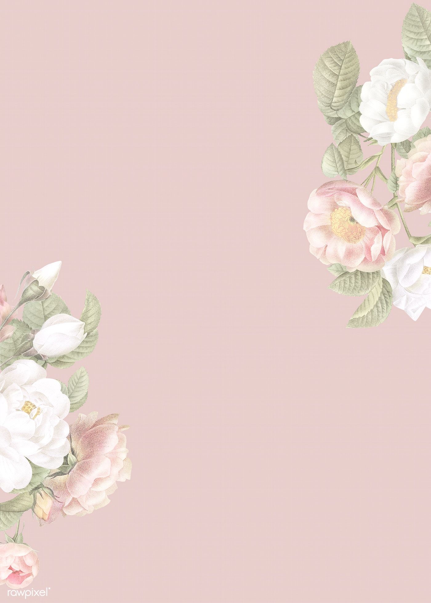 Elegant Floral Frame Design Illustration Premium Image By