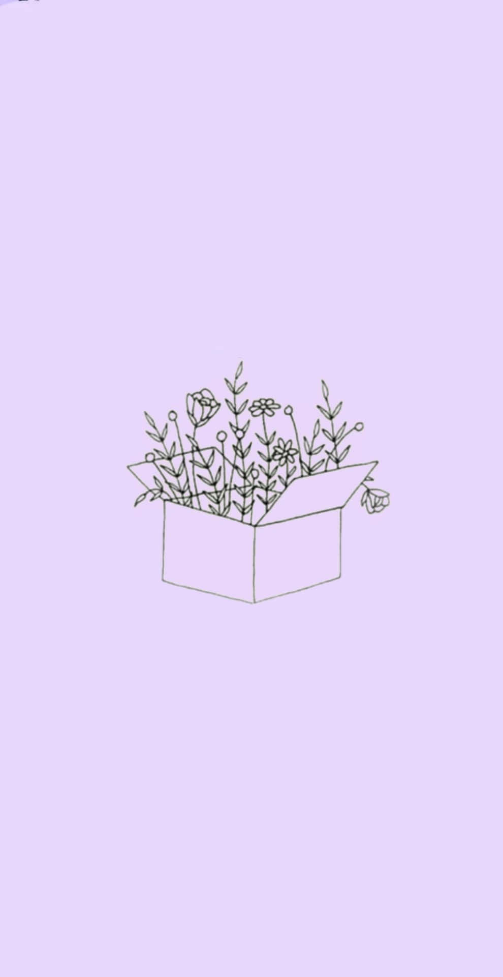 Lilac Color Wallpaper
