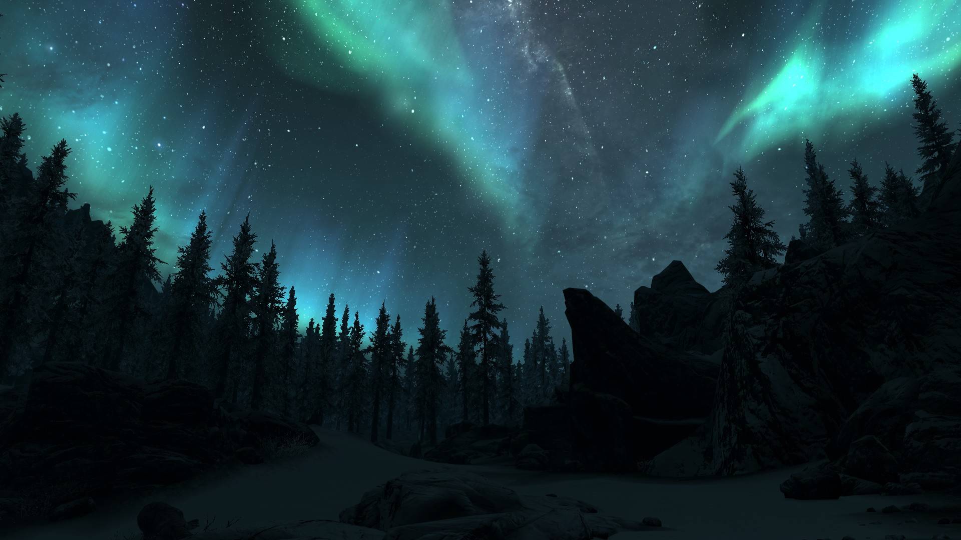 Real Northern Lights Wolf HD Wallpaper Background Images
