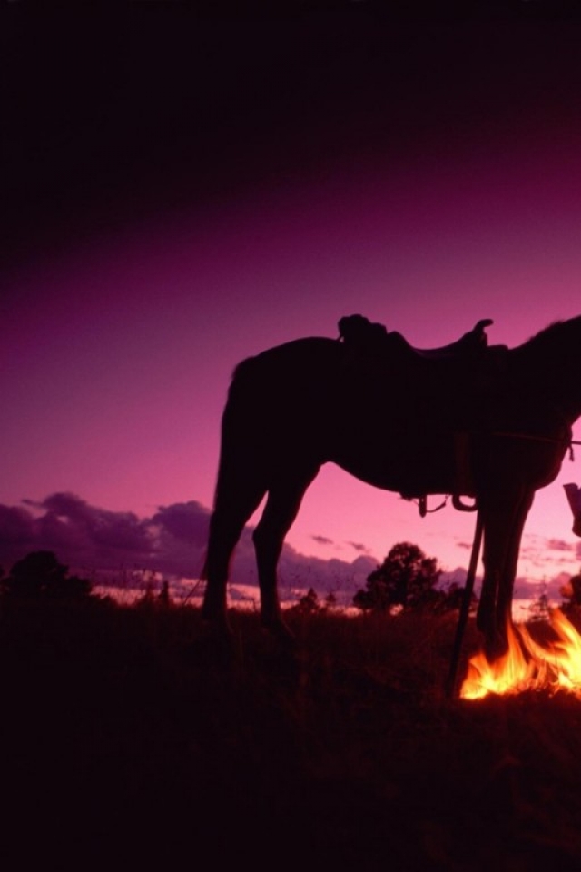 Campfire Cowboy Wild West Evening Wallpaper