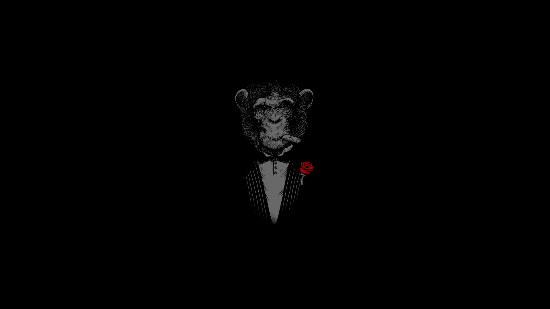 Dark Humor Monkey Wallpaper