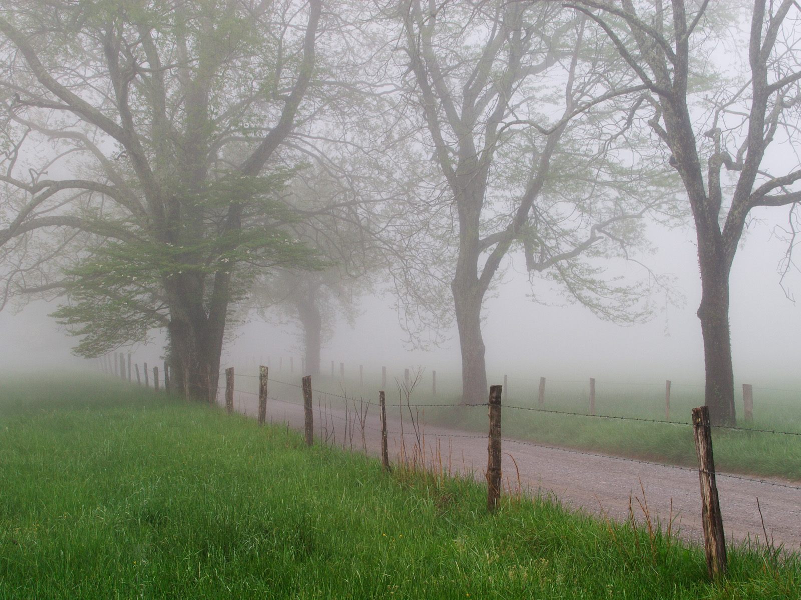 Wallpaper Cades Cove Tennessee X Kb Jpeg HD