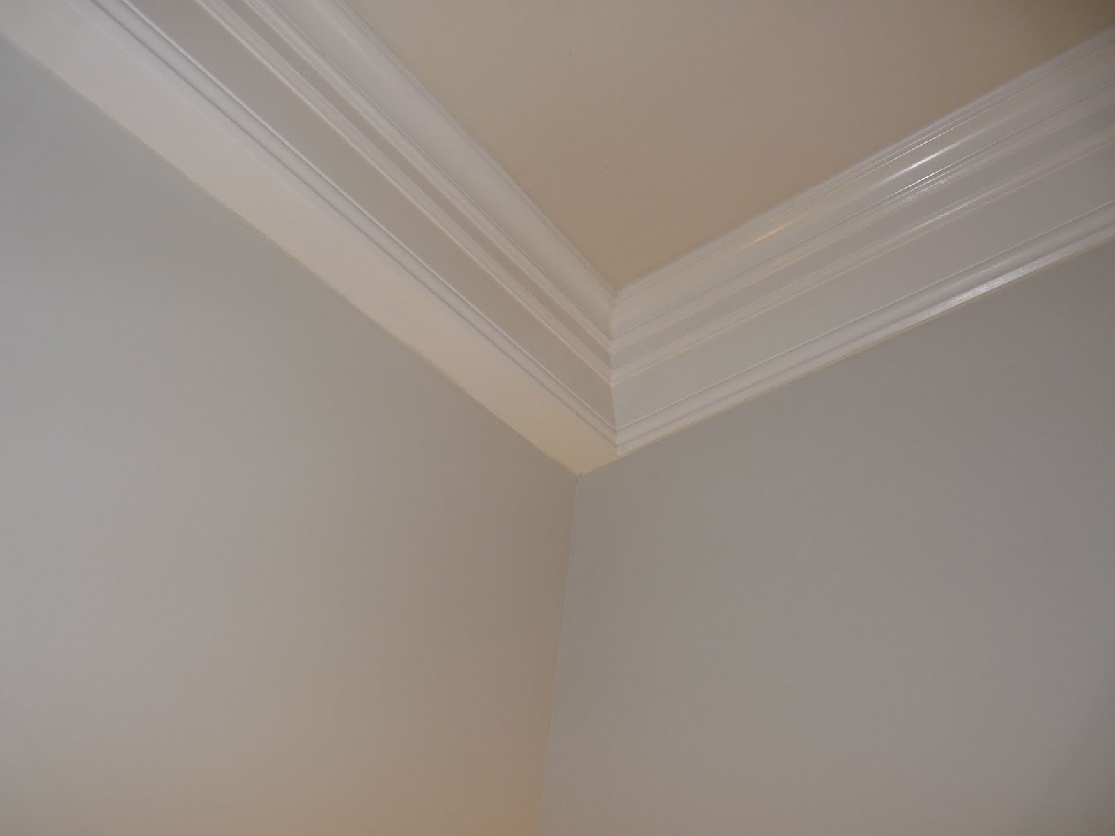 Sloped Ceiling Crown Molding Wallpaper Picswallpaper