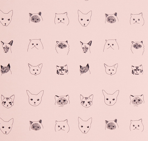 Cat Dog Wallpaper Design Sponge