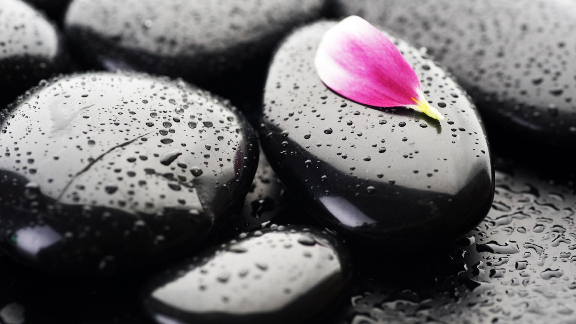 Nature Love Wallpaper HD