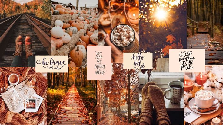 Autumn Colors Wallpaper
