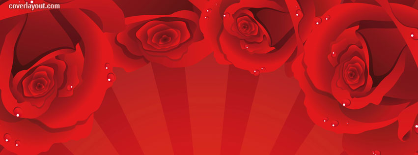 Red Rose Wallpaper For Huge Roses Cover