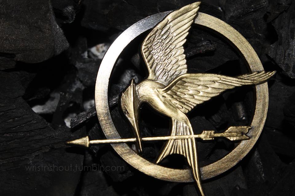 Go Back Gallery For Mockingjay Pin Hunger Games Movie