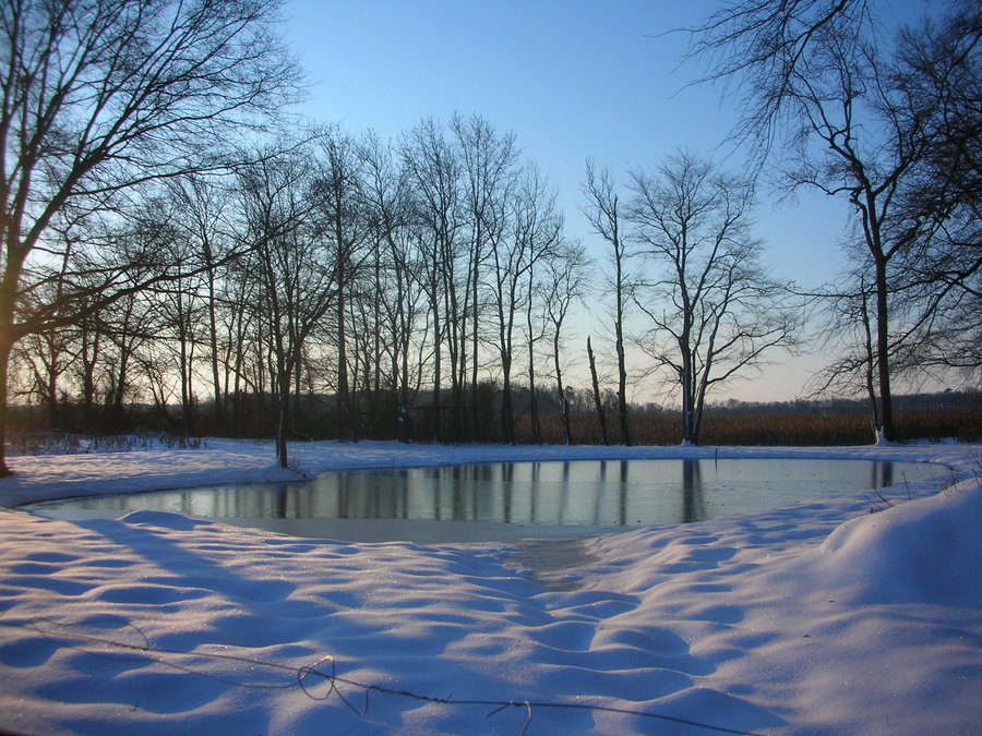 Frozen Pond By X Ebee
