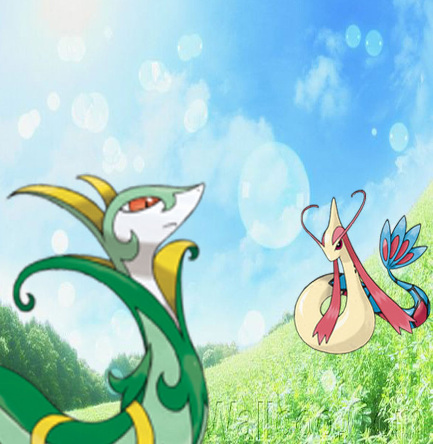 Pokemon Serperior And Milotic By Laila549