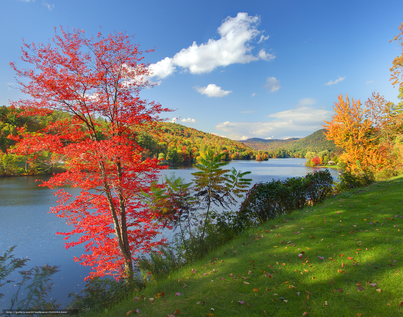 Wallpaper Framed By Color Autumn Vermont