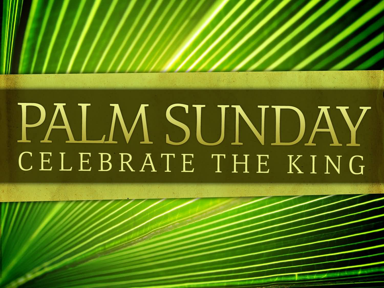 60 Beautiful Palm Sunday Greeting Pictures And Images 1500x1125