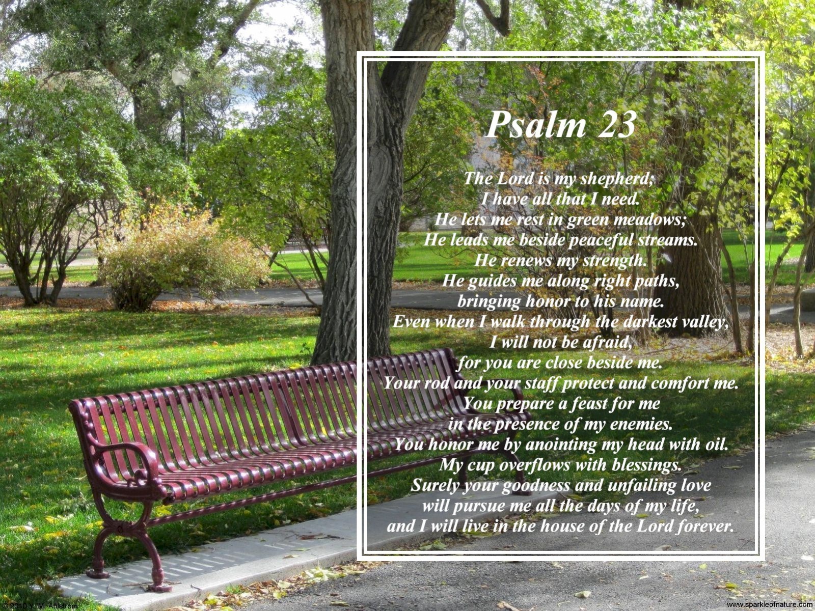 Psalms Desktop Wallpaper Scripture Verses