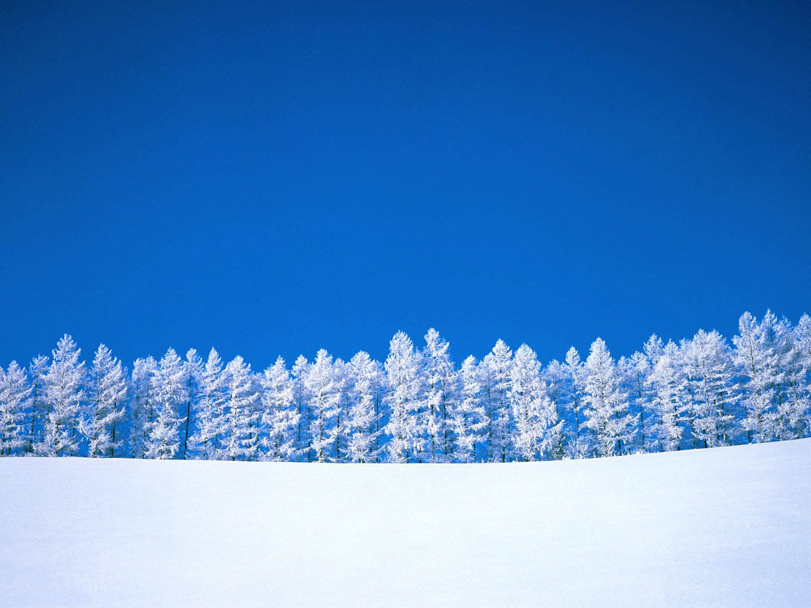 wallpapers Snow Desktop Wallpapers and Backgrounds