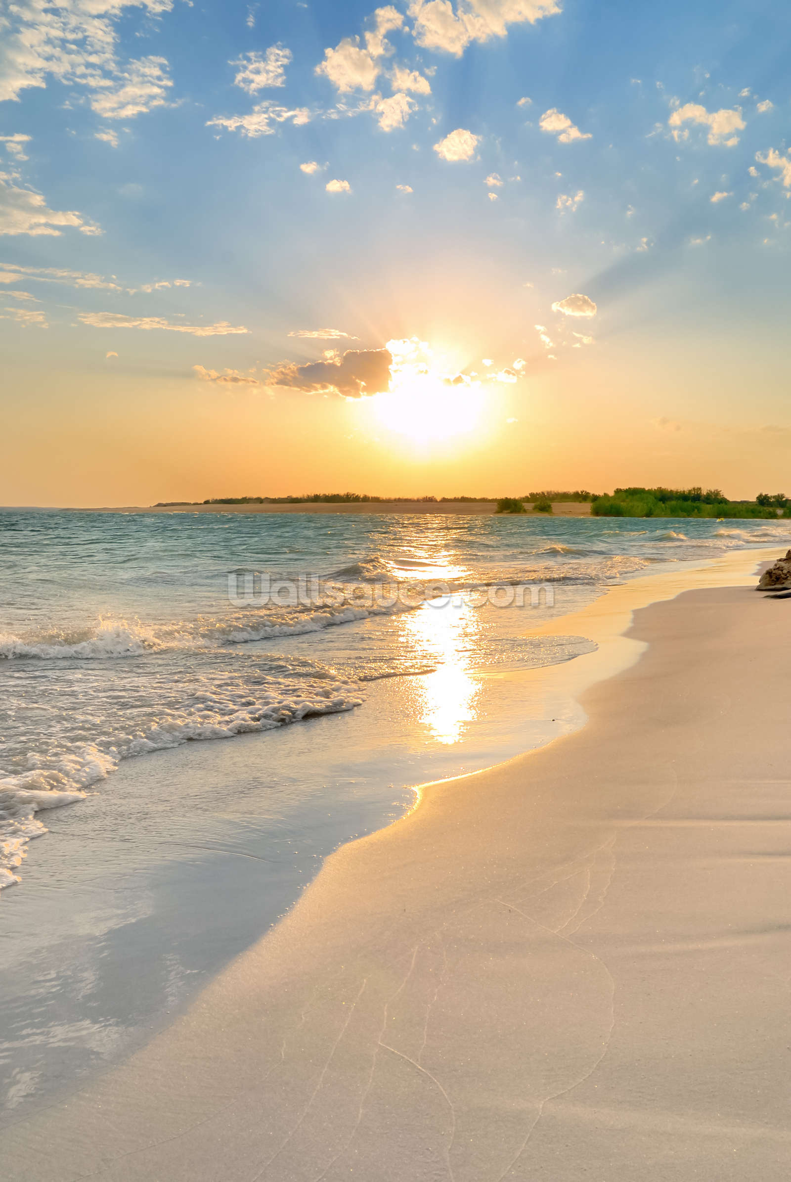 Beach Sunset Wallpaper Desktop Background HD