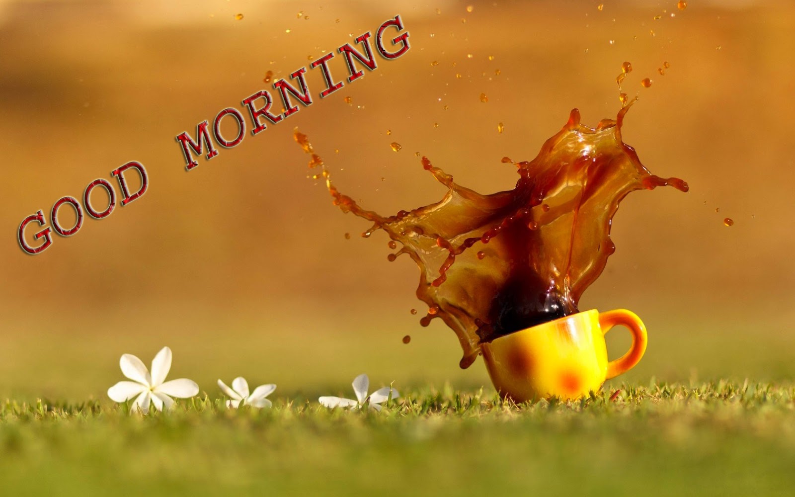 Lovely and Beautiful Good Morning Wallpapers Allfreshwallpaper