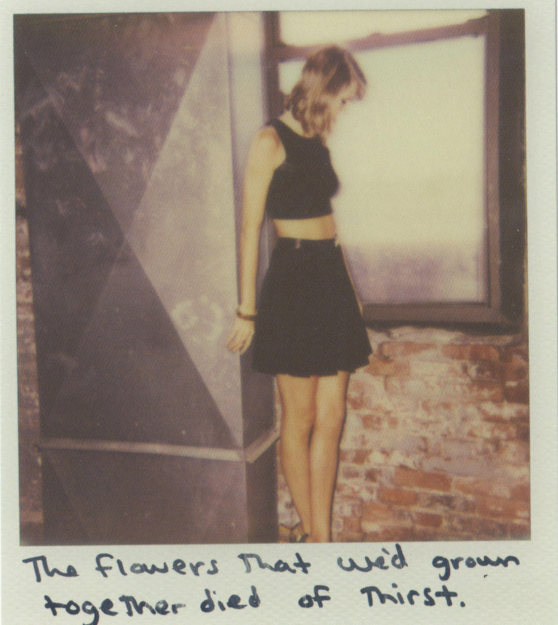 Polaroid Taylor Swift And Photoshoot
