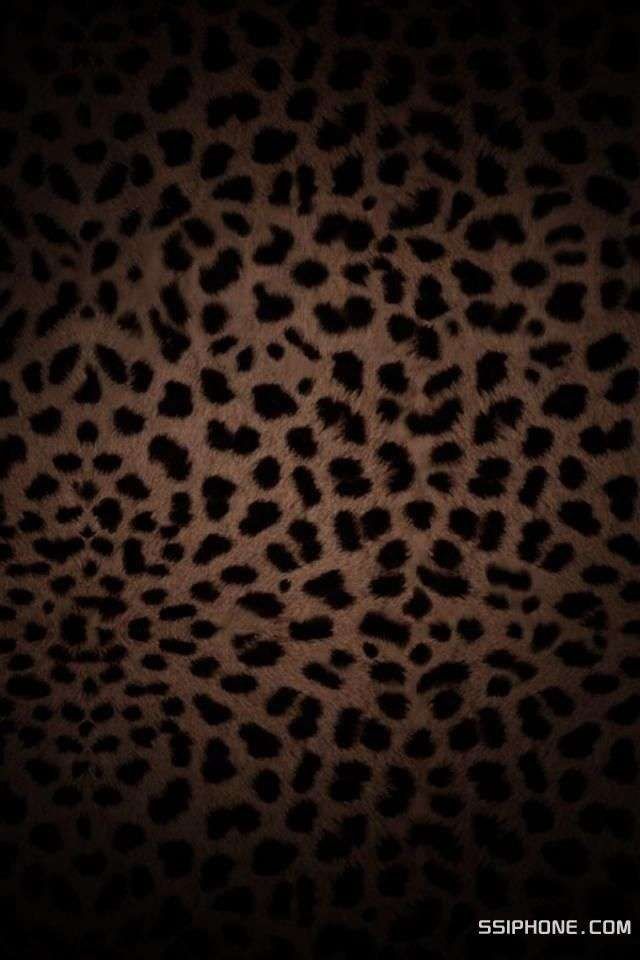 Leopard Phone Wallpapers Pinterest 640x960
