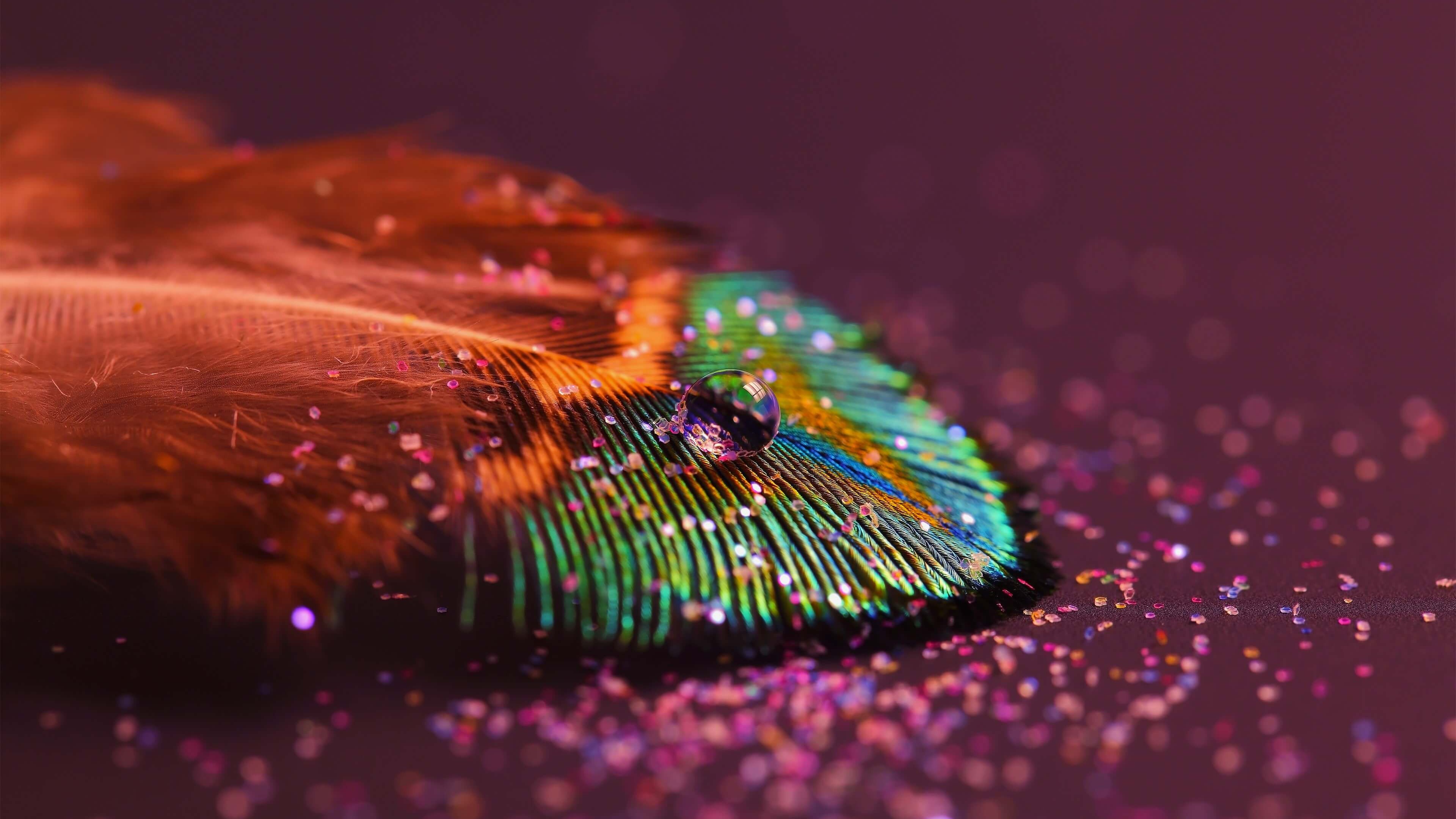 Download Colorful Feather HD wallpaper for 4K 3840 x 2160 3840x2160