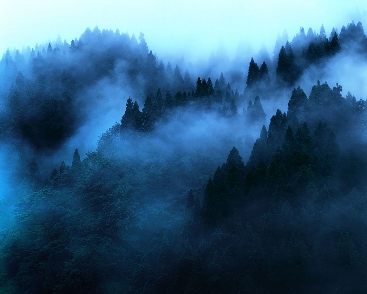 blue morning mist wallpaper