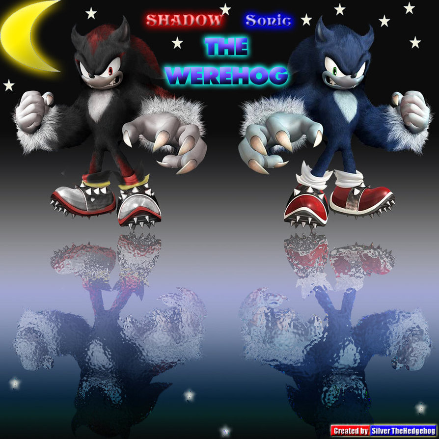 Shadow And Sonic The Werehog By Silverhedghegog