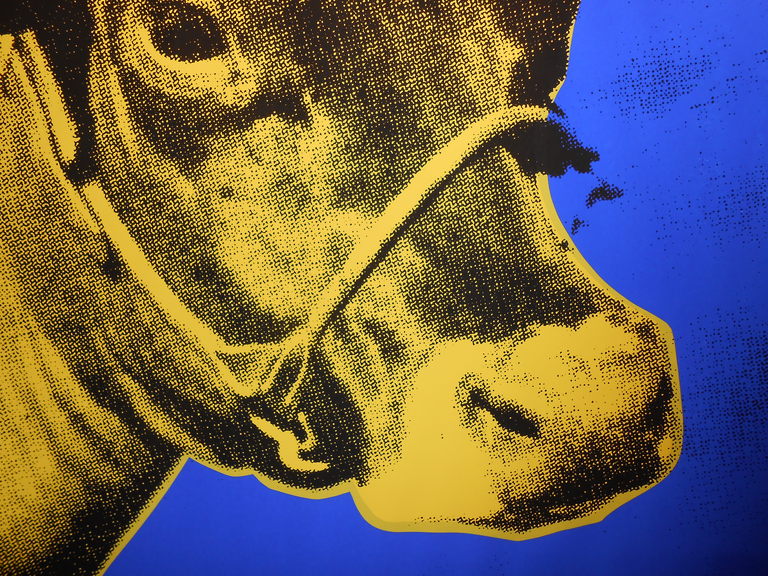 Andy Warhol Ny Retrospective Cow Wallpaper Blue And Yellow At