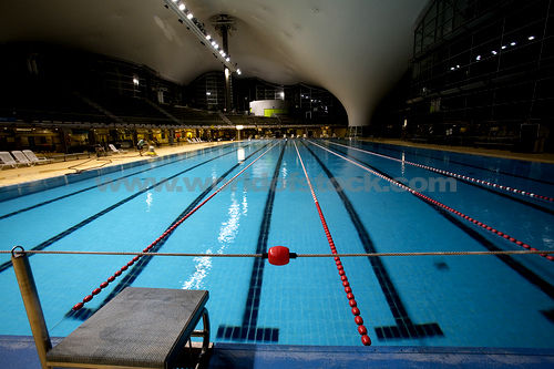 Olympic Swimming Pool HD Wallpaper Funny Jokes Photos
