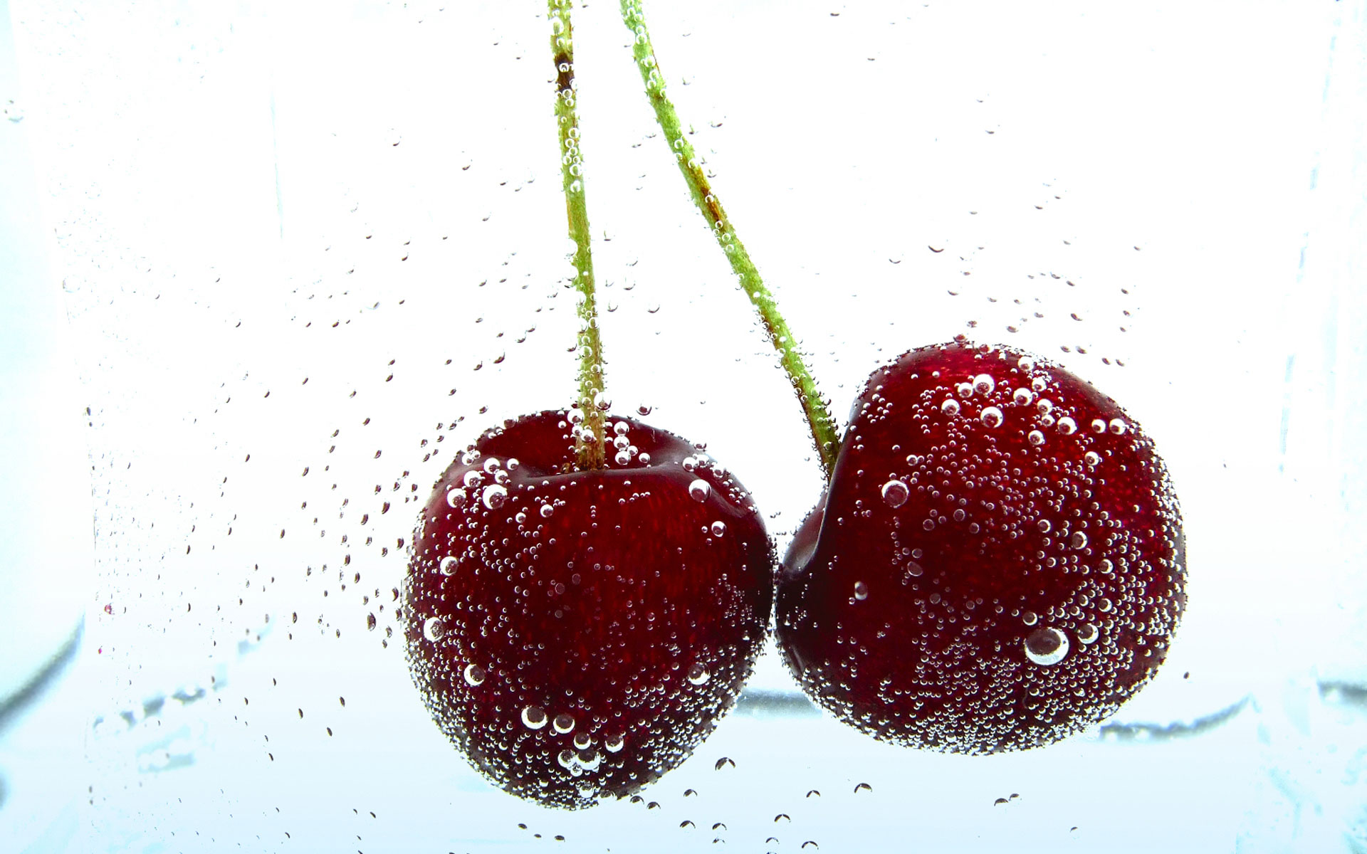 Fruits Cherries Wallpaper White