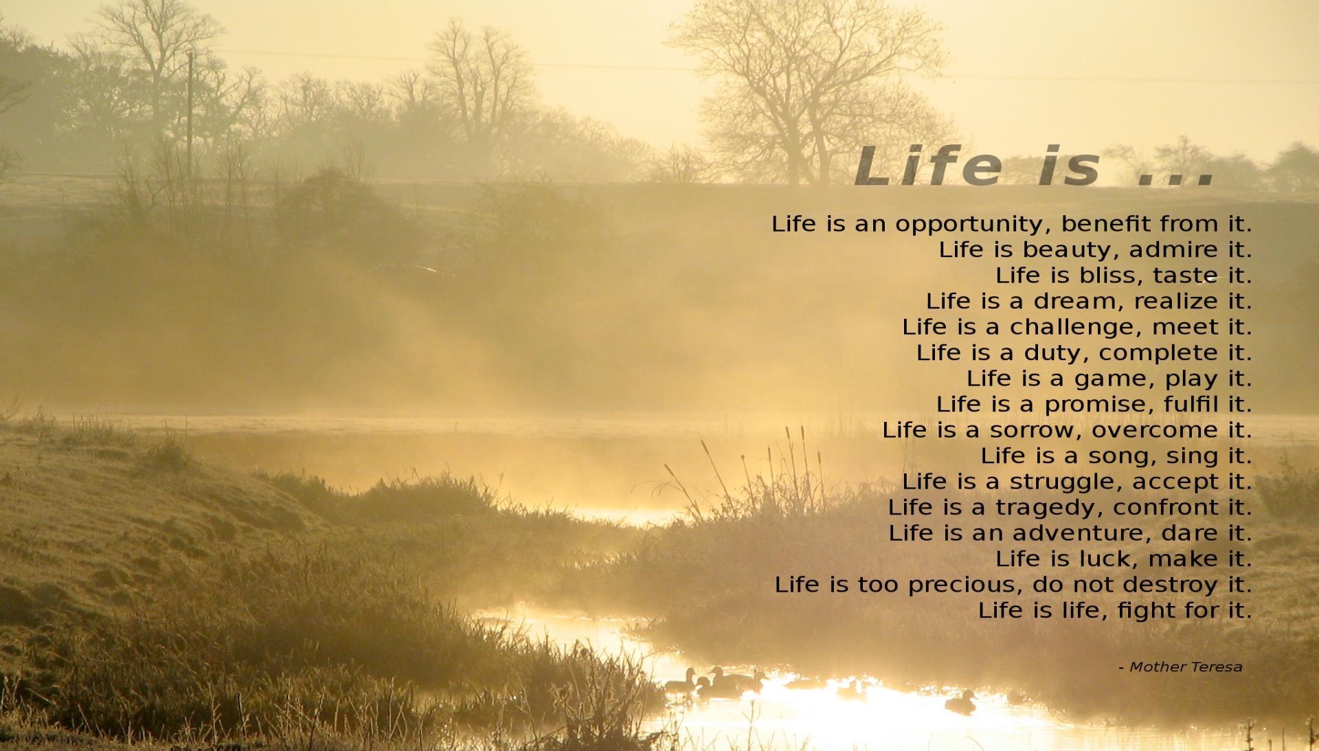 life quote desktop wallpaper