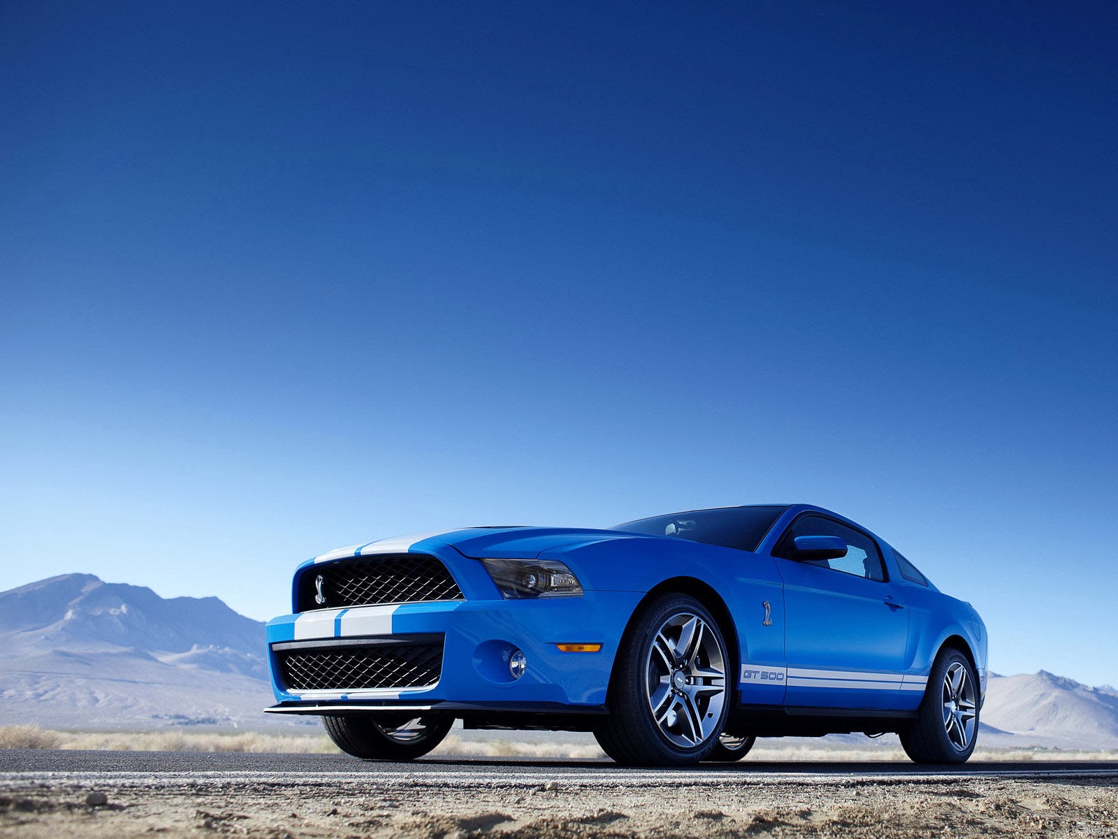 Wallpaper Ford Mustang Shelby Gt500 Car
