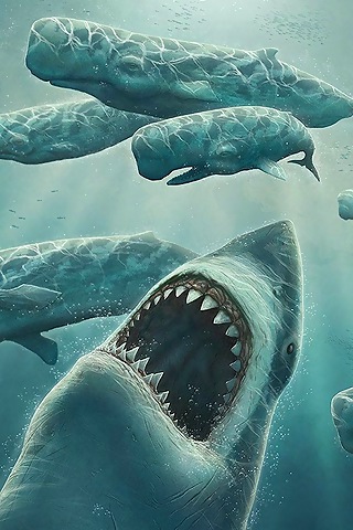 iPhonezone Shark Fish iPhone Wallpaper