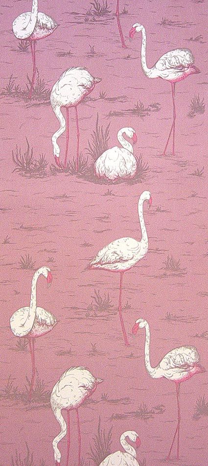 Accardi Flamingos Wallpaper Pink White Flamingoes On A Background