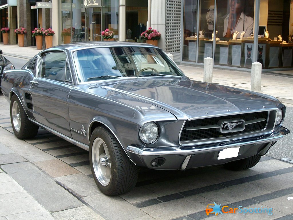 Mustang Vergr Ern