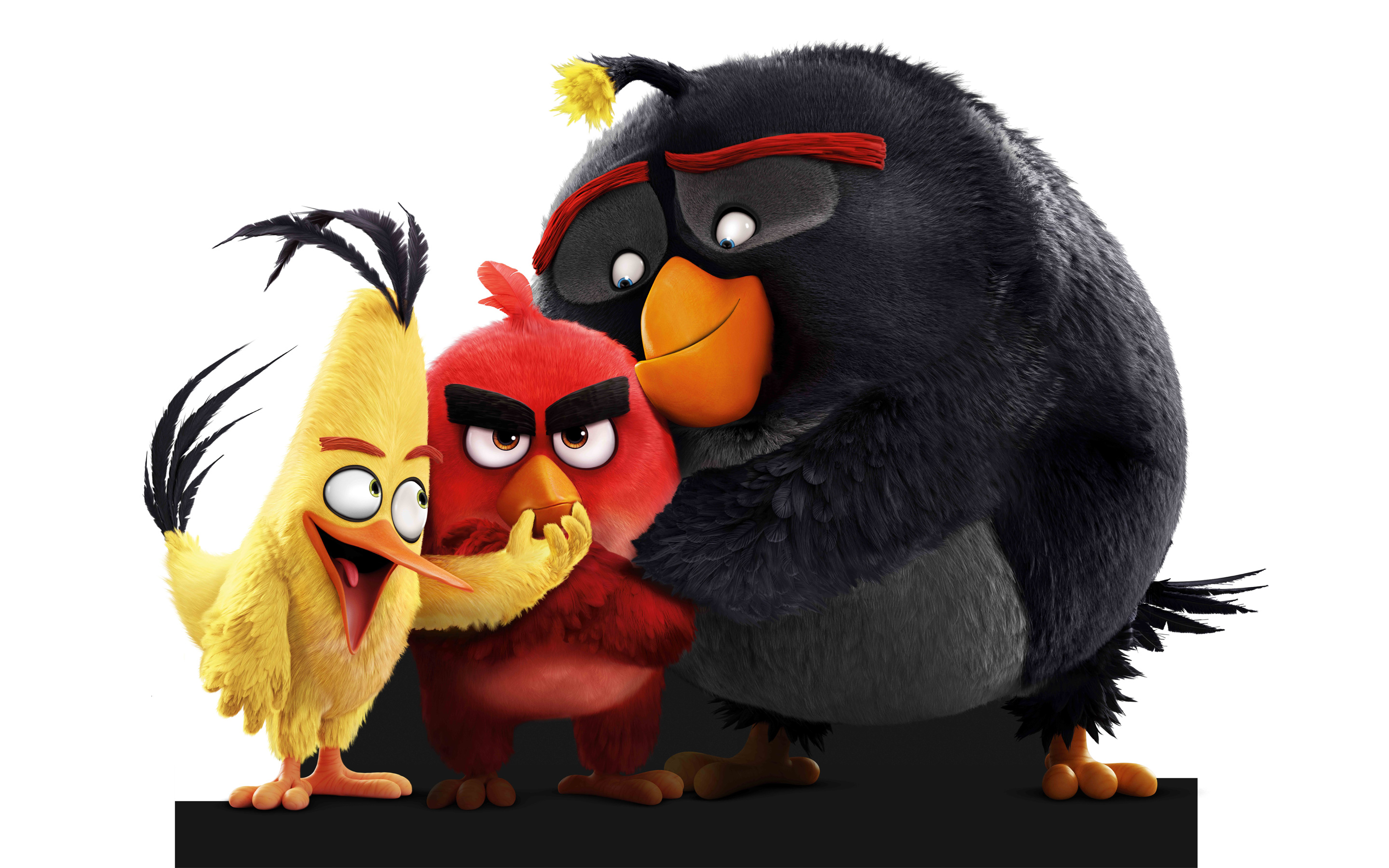 Angry Birds Movie Wallpaper HD
