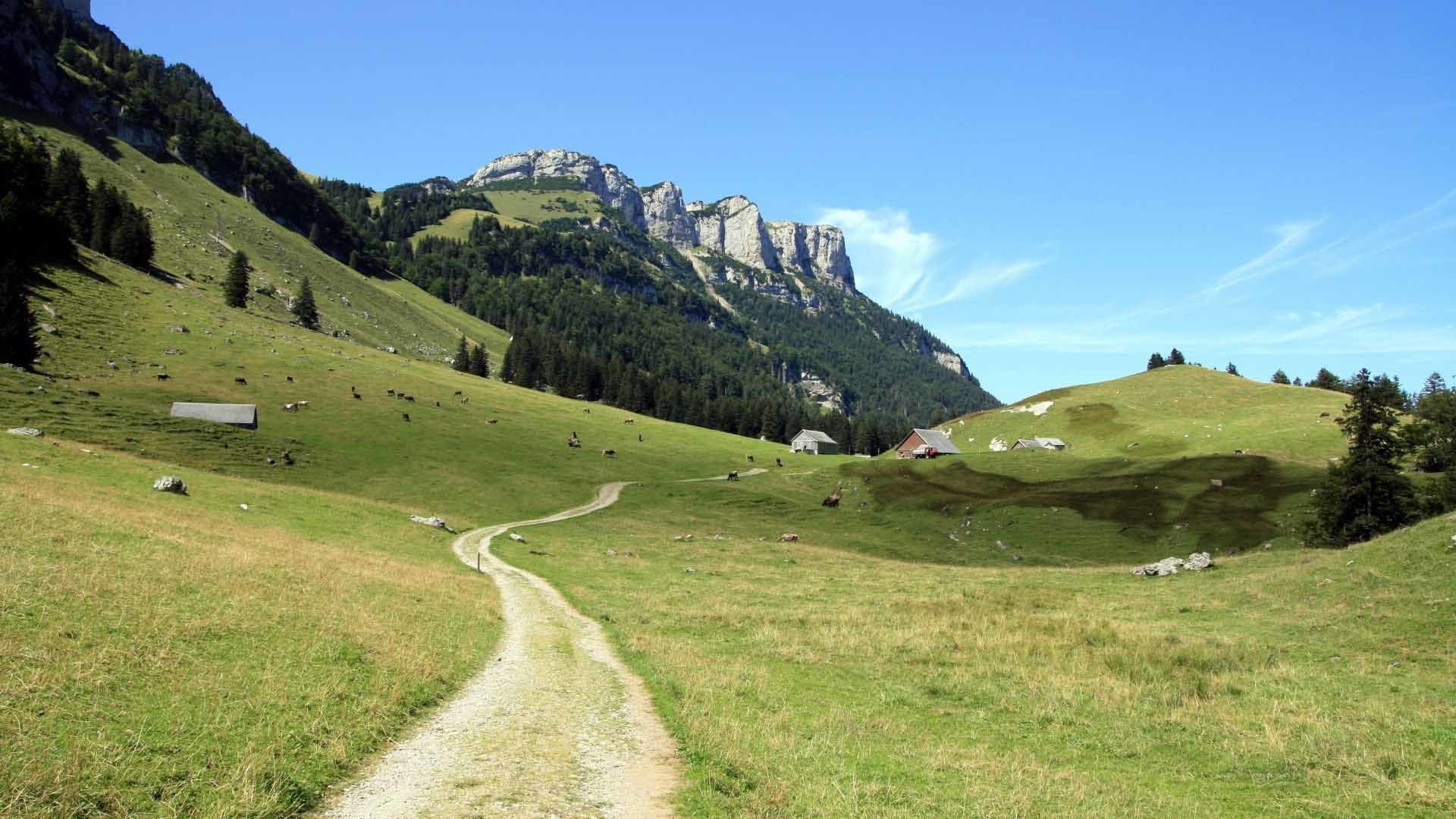 Hiking Wallpaper