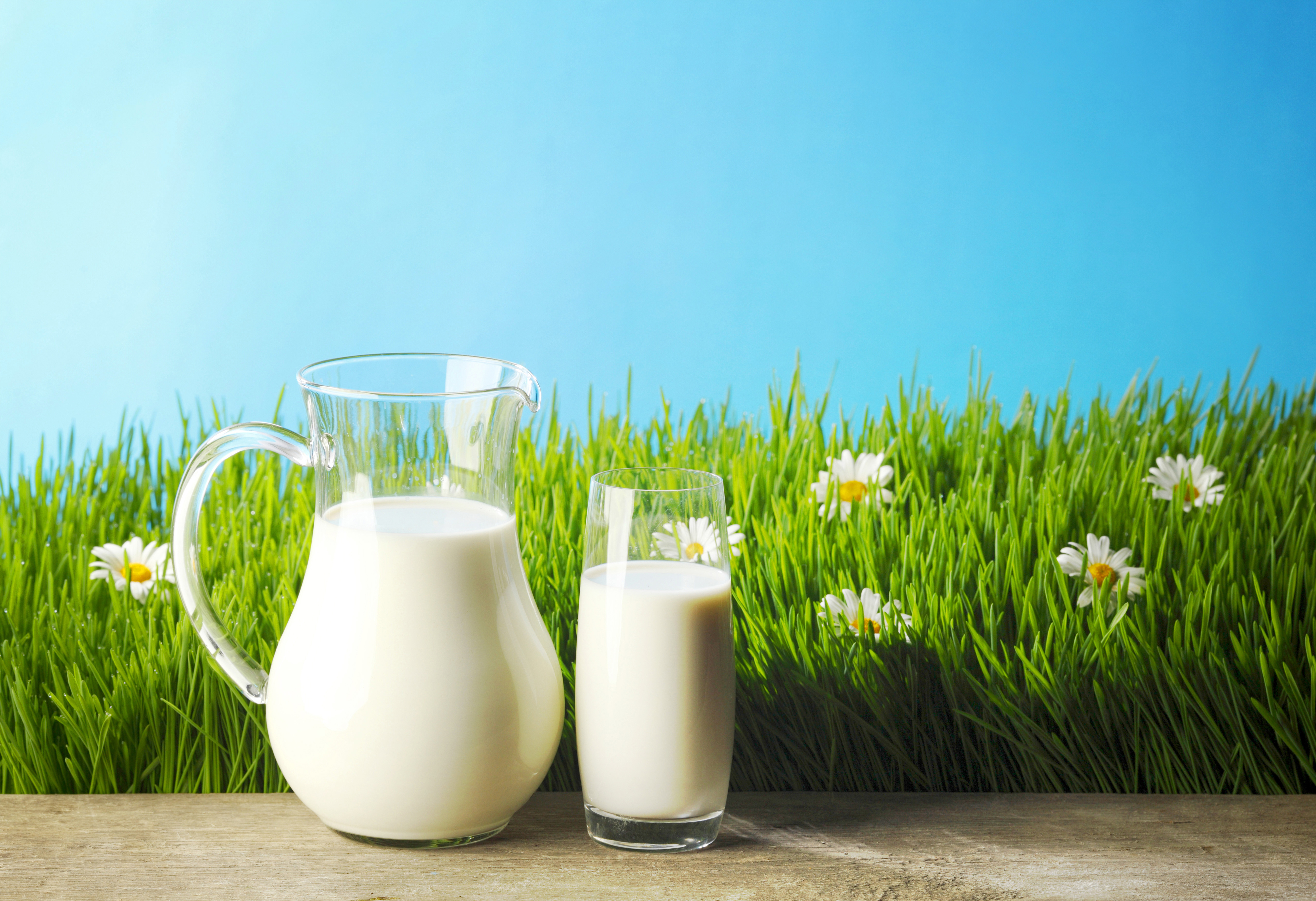 Grass And Milk Background Gallery Yopriceville High Quality