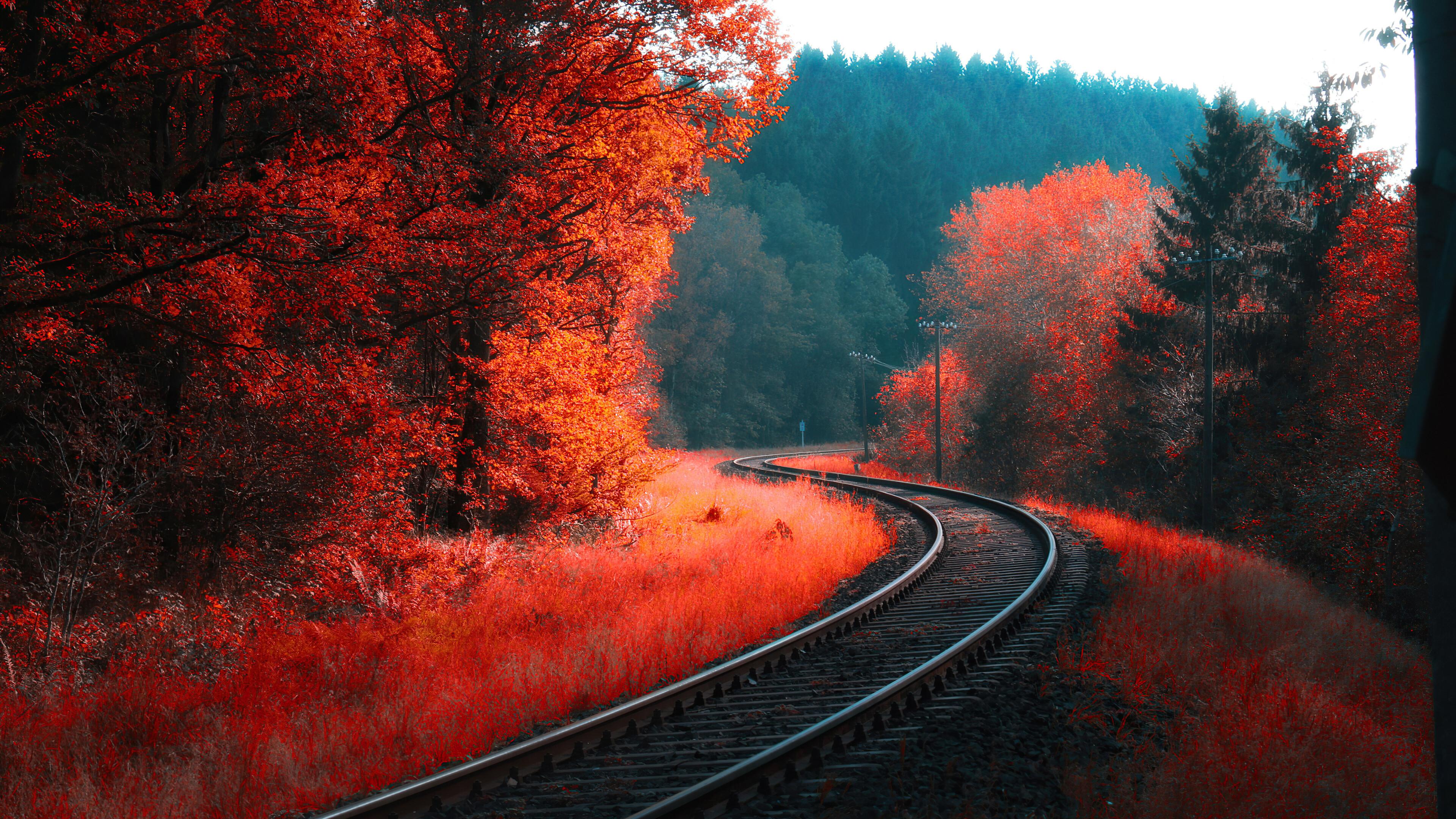Autumn Forest Railroad Landscape Scenery 4K Wallpaper