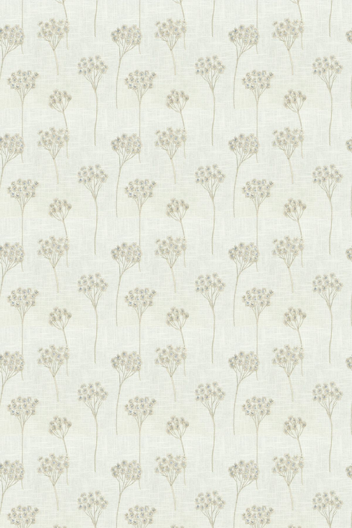 Cow Parsley Wallpaper  Parchment  By Cole and Son  1128027