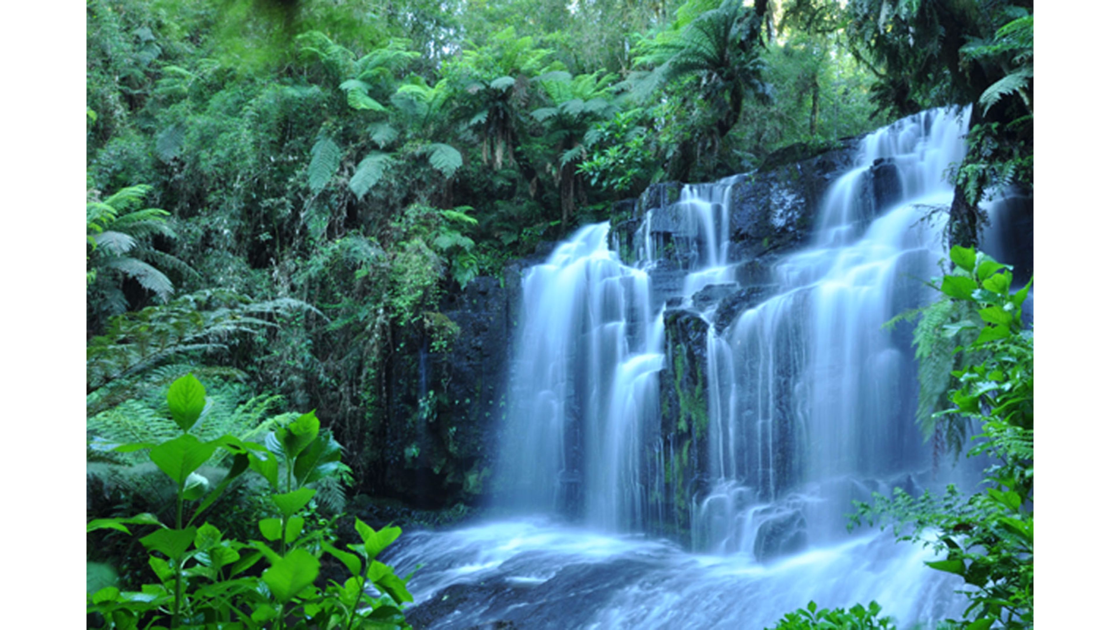 Tropical Rain Forest 4k Waterfall Wallpaper
